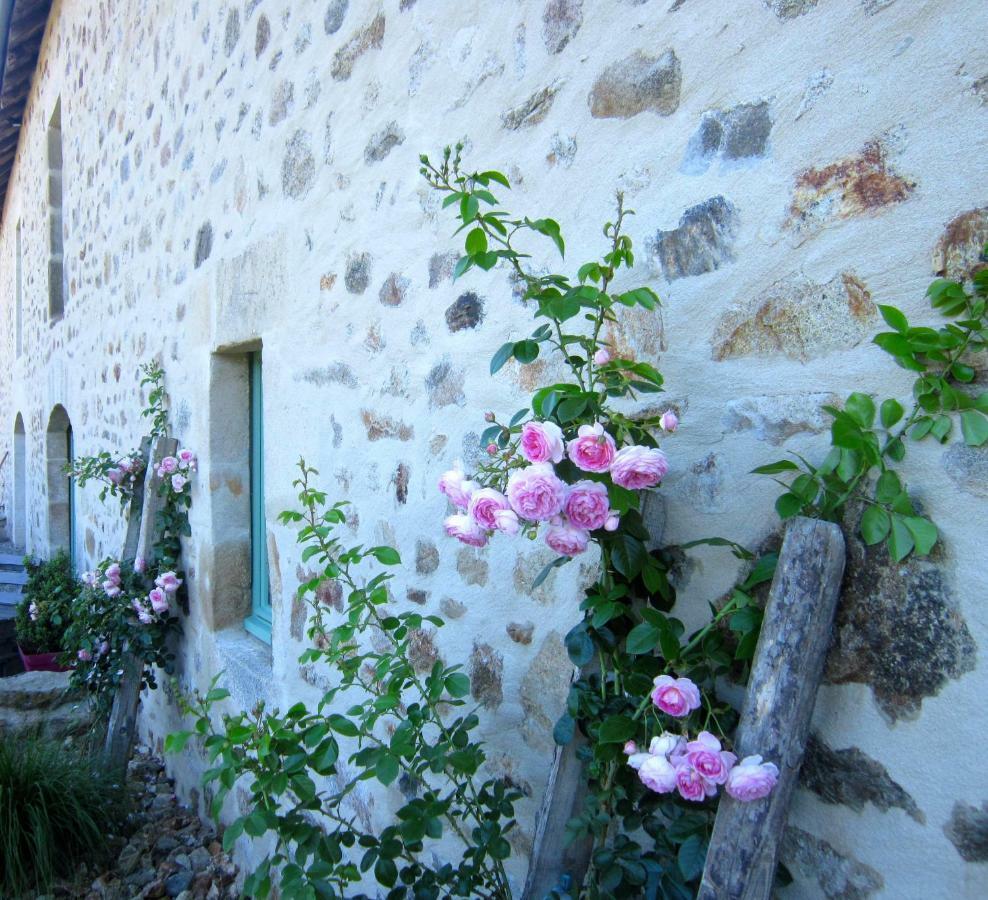 Bed and Breakfast Les 5 Petits Lapins Bar Zewnętrze zdjęcie